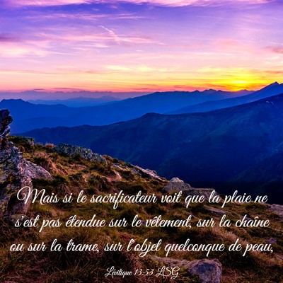 Picture 03 - Lévitique 13:53 LSG - Mais si le sacrificateur voit que la plaie ne - Bible Verse Picture