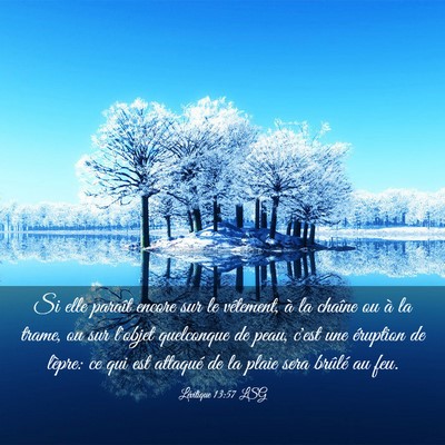 Picture 03 - Lévitique 13:57 LSG - Si elle paraît encore sur le vêtement, à la - Bible Verse Picture