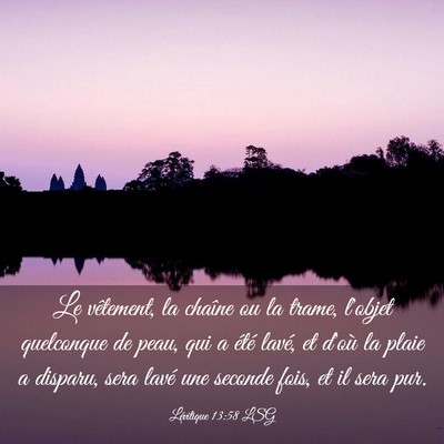 Picture 03 - Lévitique 13:58 LSG - Le vêtement, la chaîne ou la trame, l'objet - Bible Verse Picture