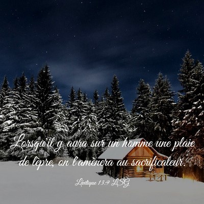 Picture 03 - Lévitique 13:9 LSG - Lorsqu'il y aura sur un homme une plaie de - Bible Verse Picture