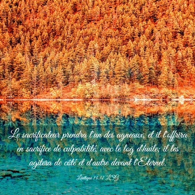 Picture 03 - Lévitique 14:12 LSG - Le sacrificateur prendra l'un des agneaux, et il - Bible Verse Picture