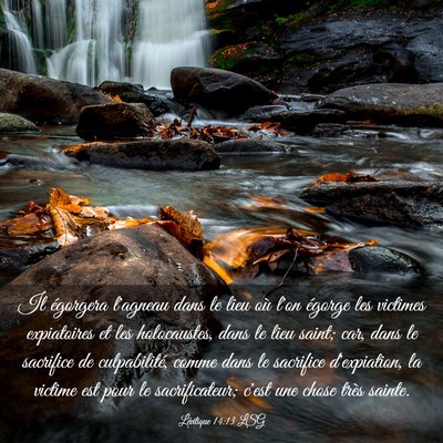 Picture 03 - Lévitique 14:13 LSG - Il égorgera l'agneau dans le lieu où l'on - Bible Verse Picture