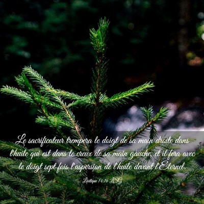 Picture 03 - Lévitique 14:16 LSG - Le sacrificateur trempera le doigt de sa main - Bible Verse Picture