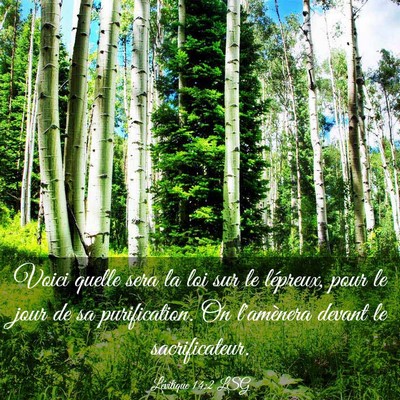 Picture 03 - Lévitique 14:2 LSG - Voici quelle sera la loi sur le lépreux, pour le - Bible Verse Picture