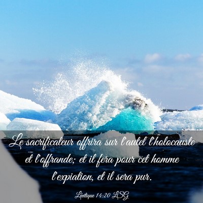 Picture 03 - Lévitique 14:20 LSG - Le sacrificateur offrira sur l'autel l'holocauste - Bible Verse Picture