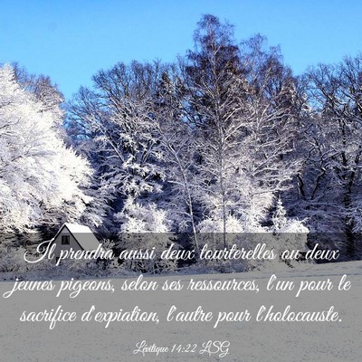 Picture 03 - Lévitique 14:22 LSG - Il prendra aussi deux tourterelles ou deux jeunes - Bible Verse Picture