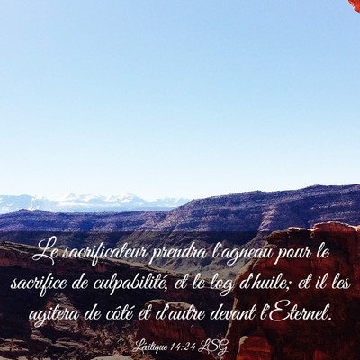 Picture 03 - Lévitique 14:24 LSG - Le sacrificateur prendra l'agneau pour le - Bible Verse Picture