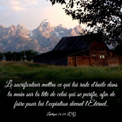 Picture 03 - Lévitique 14:29 LSG - Le sacrificateur mettra ce qui lui reste d'huile - Bible Verse Picture
