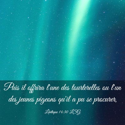 Picture 03 - Lévitique 14:30 LSG - Puis il offrira l'une des tourterelles ou l'un - Bible Verse Picture