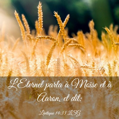 Picture 03 - Lévitique 14:33 LSG - L'Eternel parla à Moïse et à Aaron, et - Bible Verse Picture