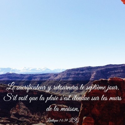 Picture 03 - Lévitique 14:39 LSG - Le sacrificateur y retournera le septième jour. - Bible Verse Picture