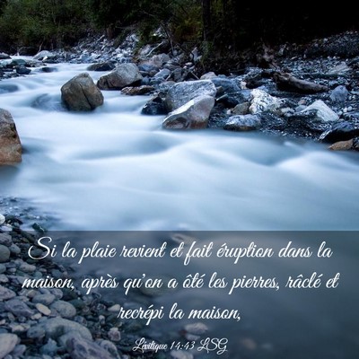 Picture 03 - Lévitique 14:43 LSG - Si la plaie revient et fait éruption dans la - Bible Verse Picture