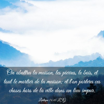 Picture 03 - Lévitique 14:45 LSG - On abattra la maison, les pierres, le bois, et - Bible Verse Picture