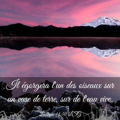 Picture 03 - Lévitique 14:50 LSG - Il égorgera l'un des oiseaux sur un vase de - Bible Verse Picture