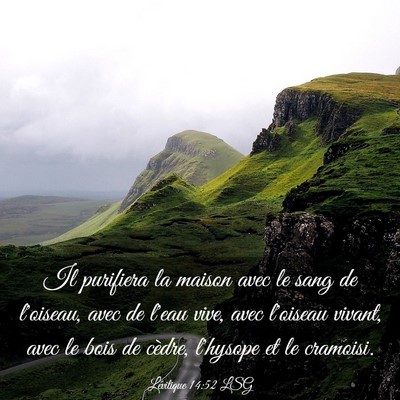 Picture 03 - Lévitique 14:52 LSG - Il purifiera la maison avec le sang de l'oiseau, - Bible Verse Picture