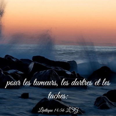 Picture 03 - Lévitique 14:56 LSG - pour les tumeurs, les dartres et les - Bible Verse Picture