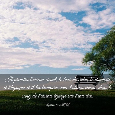 Picture 03 - Lévitique 14:6 LSG - Il prendra l'oiseau vivant, le bois de cèdre, le - Bible Verse Picture