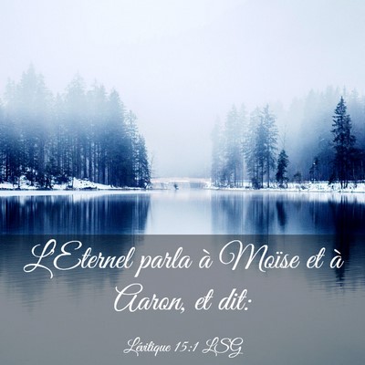 Picture 03 - Lévitique 15:1 LSG - L'Eternel parla à Moïse et à Aaron, et - Bible Verse Picture