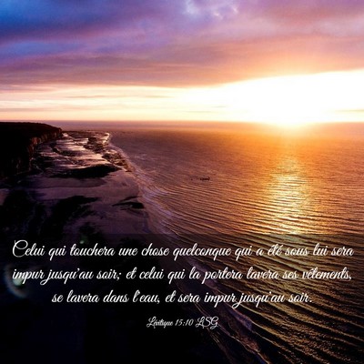 Picture 03 - Lévitique 15:10 LSG - Celui qui touchera une chose quelconque qui a - Bible Verse Picture
