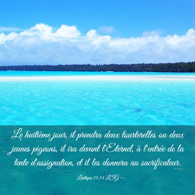 Picture 03 - Lévitique 15:14 LSG - Le huitième jour, il prendra deux tourterelles - Bible Verse Picture