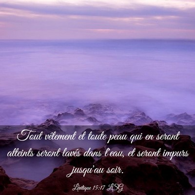 Picture 03 - Lévitique 15:17 LSG - Tout vêtement et toute peau qui en seront - Bible Verse Picture