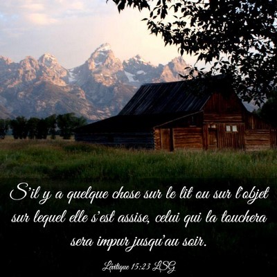 Picture 03 - Lévitique 15:23 LSG - S'il y a quelque chose sur le lit ou sur l'objet - Bible Verse Picture