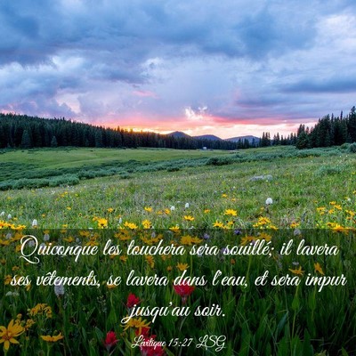 Picture 03 - Lévitique 15:27 LSG - Quiconque les touchera sera souillé; il lavera - Bible Verse Picture