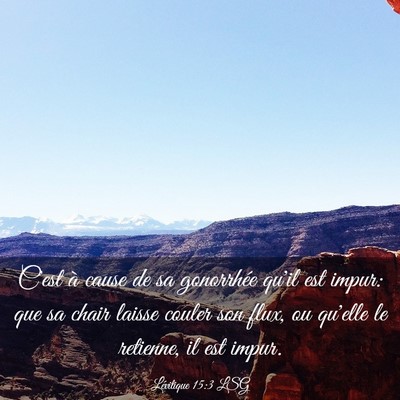 Picture 03 - Lévitique 15:3 LSG - C'est à cause de sa gonorrhée qu'il est impur: - Bible Verse Picture