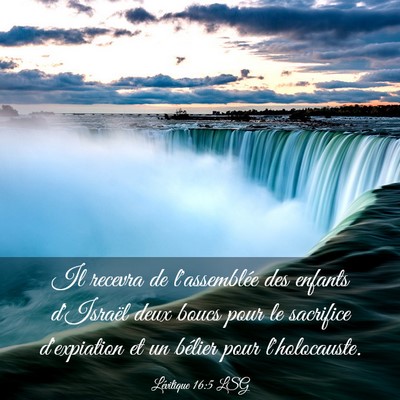 Picture 03 - Lévitique 16:5 LSG - Il recevra de l'assemblée des enfants d'Israël - Bible Verse Picture