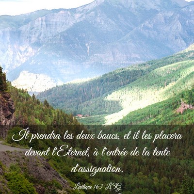 Picture 03 - Lévitique 16:7 LSG - Il prendra les deux boucs, et il les placera - Bible Verse Picture