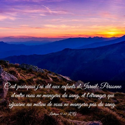 Picture 03 - Lévitique 17:12 LSG - C'est pourquoi j'ai dit aux enfants d'Israël: - Bible Verse Picture