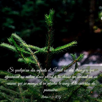 Picture 03 - Lévitique 17:13 LSG - Si quelqu'un des enfants d'Israël ou des - Bible Verse Picture