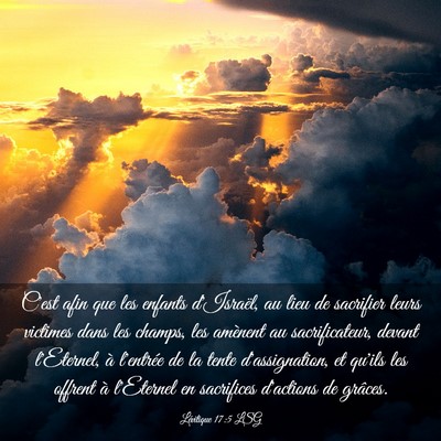 Picture 03 - Lévitique 17:5 LSG - C'est afin que les enfants d'Israël, au lieu de - Bible Verse Picture