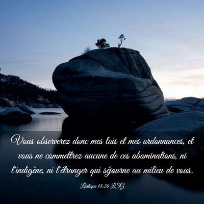 Picture 03 - Lévitique 18:26 LSG - Vous observerez donc mes lois et mes ordonnances, - Bible Verse Picture