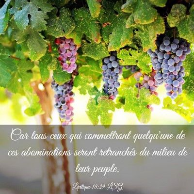 Picture 03 - Lévitique 18:29 LSG - Car tous ceux qui commettront quelqu'une de ces - Bible Verse Picture