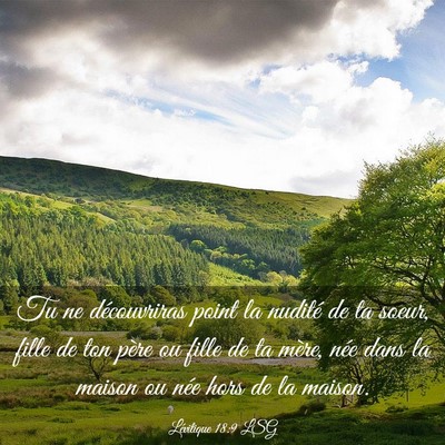 Picture 03 - Lévitique 18:9 LSG - Tu ne découvriras point la nudité de ta soeur, - Bible Verse Picture