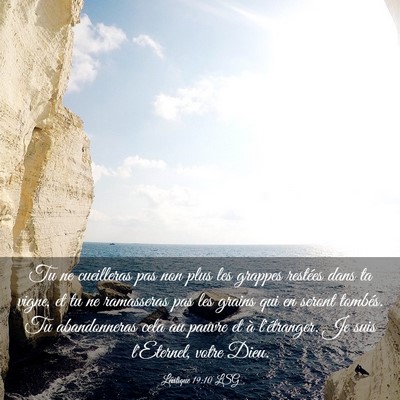 Picture 03 - Lévitique 19:10 LSG - Tu ne cueilleras pas non plus les grappes - Bible Verse Picture