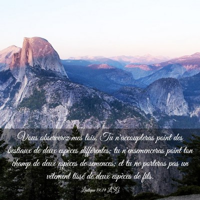 Picture 03 - Lévitique 19:19 LSG - Vous observerez mes lois. Tu n'accoupleras point - Bible Verse Picture