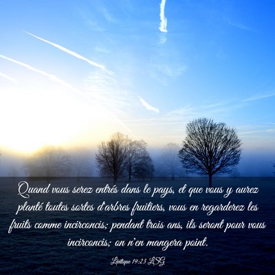 Picture 03 - Lévitique 19:23 LSG - Quand vous serez entrés dans le pays, et que - Bible Verse Picture