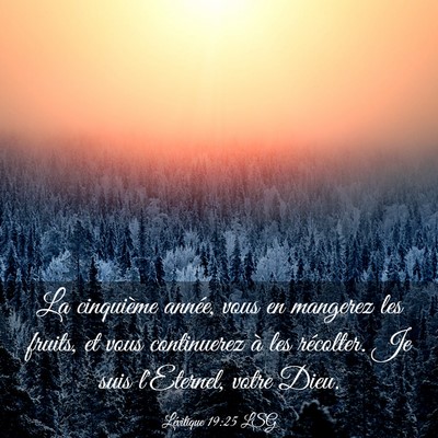 Picture 03 - Lévitique 19:25 LSG - La cinquième année, vous en mangerez les - Bible Verse Picture