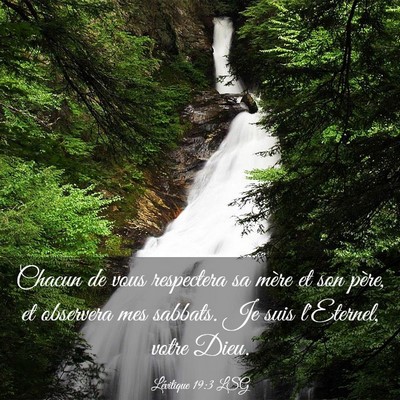 Picture 03 - Lévitique 19:3 LSG - Chacun de vous respectera sa mère et son père, - Bible Verse Picture