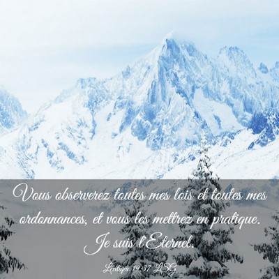 Picture 03 - Lévitique 19:37 LSG - Vous observerez toutes mes lois et toutes mes - Bible Verse Picture