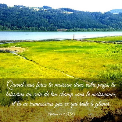 Picture 03 - Lévitique 19:9 LSG - Quand vous ferez la moisson dans votre pays, tu - Bible Verse Picture