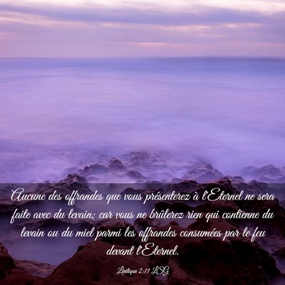 Picture 03 - Lévitique 2:11 LSG - Aucune des offrandes que vous présenterez à - Bible Verse Picture