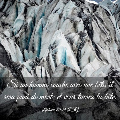 Picture 03 - Lévitique 20:15 LSG - Si un homme couche avec une bête, il sera puni - Bible Verse Picture