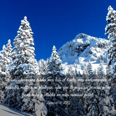 Picture 03 - Lévitique 20:22 LSG - Vous observerez toutes mes lois et toutes mes - Bible Verse Picture
