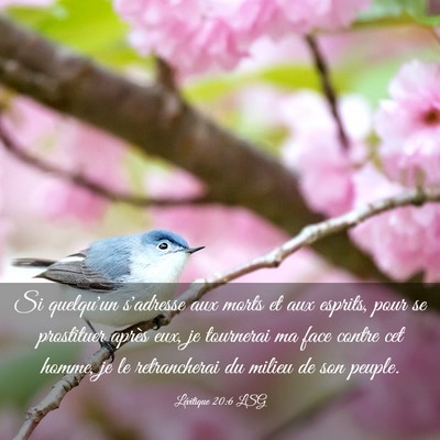 Picture 03 - Lévitique 20:6 LSG - Si quelqu'un s'adresse aux morts et aux esprits, - Bible Verse Picture