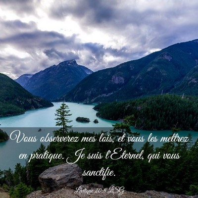 Picture 03 - Lévitique 20:8 LSG - Vous observerez mes lois, et vous les mettrez en - Bible Verse Picture
