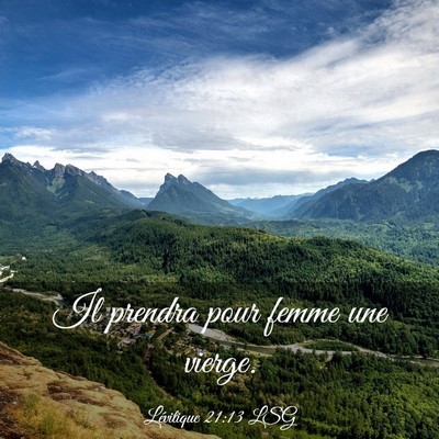 Picture 03 - Lévitique 21:13 LSG - Il prendra pour femme une - Bible Verse Picture