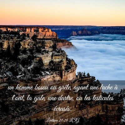 Picture 03 - Lévitique 21:20 LSG - un homme bossu ou grêle, ayant une tache à - Bible Verse Picture